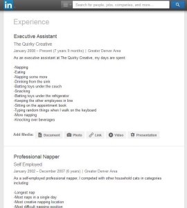 LinkedIn Basic Profile example