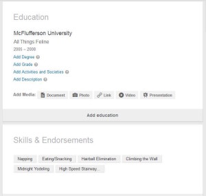 LinkedIn Basic Profile example bottom